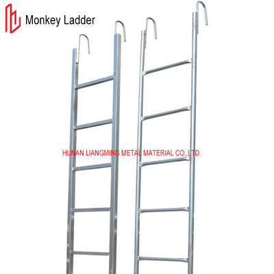 quality  Pre Galvanized Scaffolding Monkey Ladder Q235 Scaffold Step Ladder factory